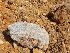 Fantini - scuola infanzia borgio verezzi (2)